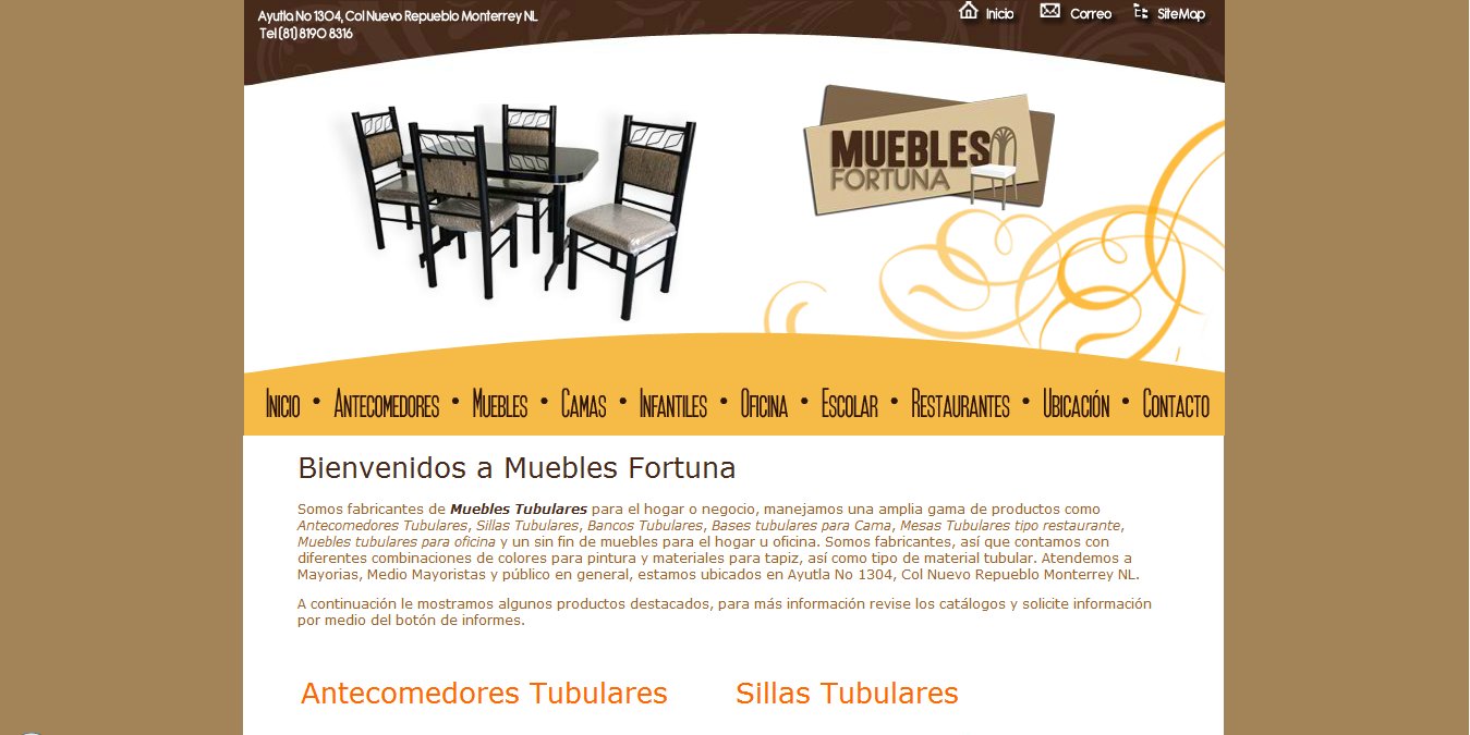 Páginas Web en Monterrey | portafolio de proyectos